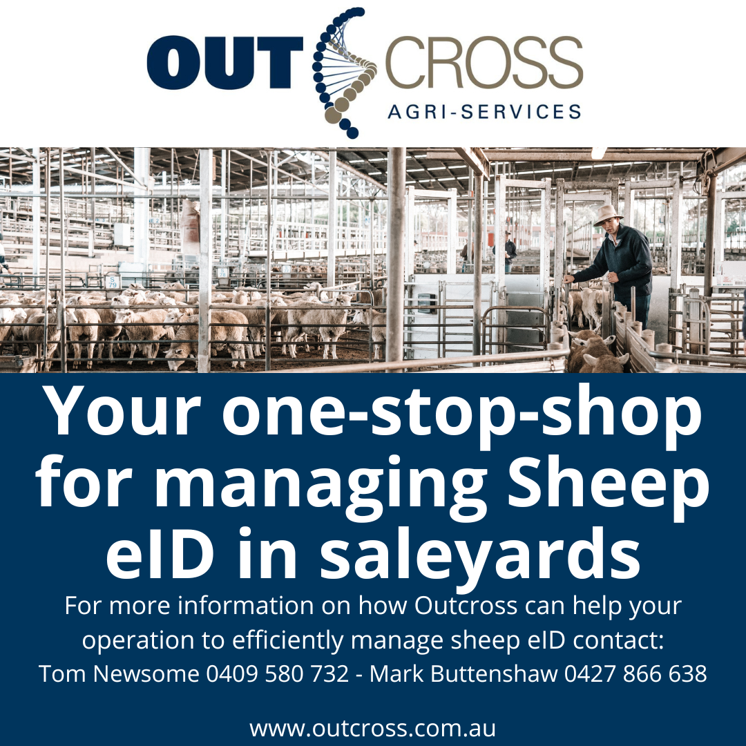 The Outcross Sheep eID Solution
